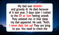 12 Witnessed Moments When Compassion Arrived Just When Happiness Seemed Gone Forever