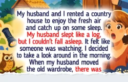 17 Hidden Home Discoveries That Prove Old Houses Hold More History Than Anyone Expected