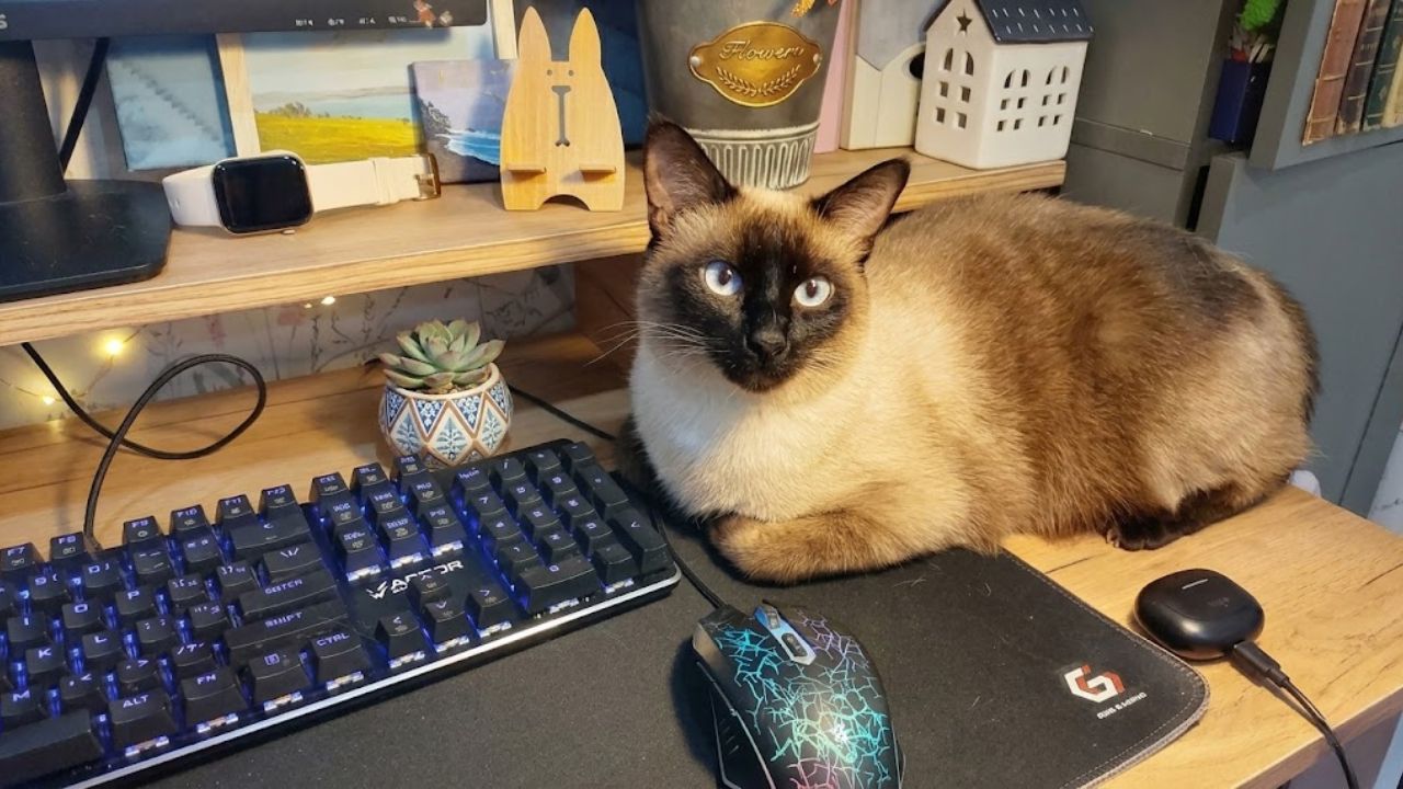 20 Workplace Kindness Moments Showing People