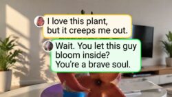 20+ People Who Turned Ordinary Rooms Into a Green Paradise