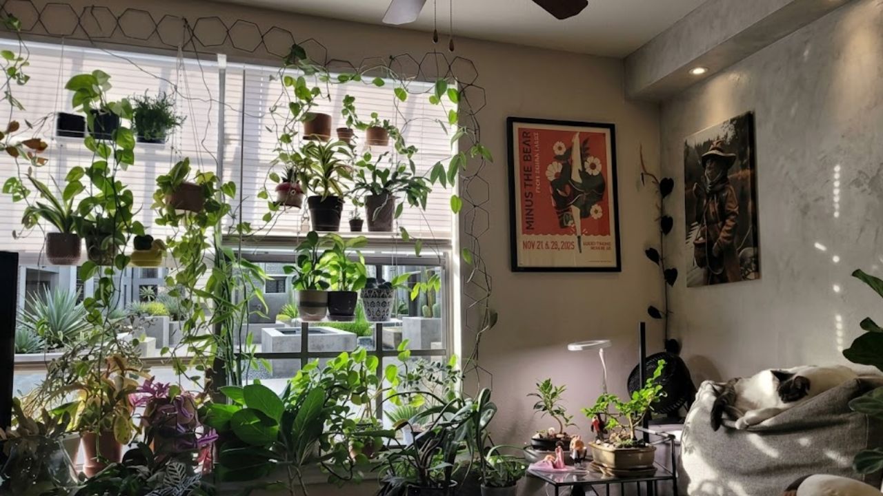 sunroom at my parents’