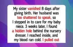 15 Moments That Remind Us Quiet Kindness Saves Us, Even When Life Runs Out of Happiness